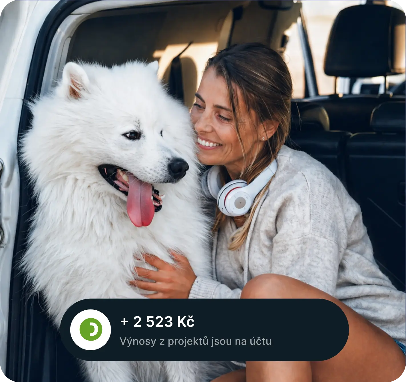 dog-photo