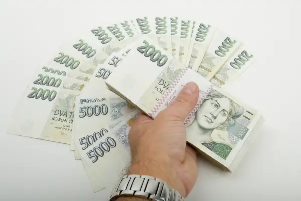 Mzdovou a cenovou spirálu přibrzdí tvrdá měnová politika a především vládní škrty