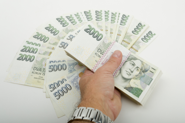 Mzdovou a cenovou spirálu přibrzdí tvrdá měnová politika a především vládní škrty