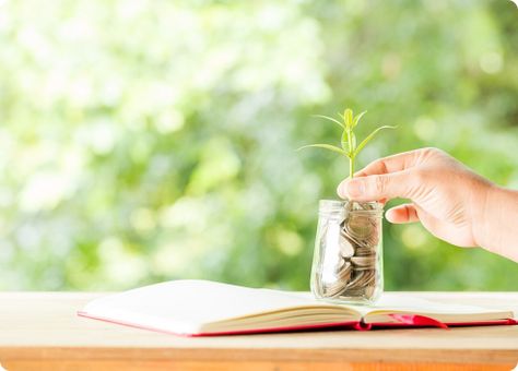 Vyznáte se v investicích? Vysvětlíme vám pojmy, které nejsou vždy zcela srozumitelné