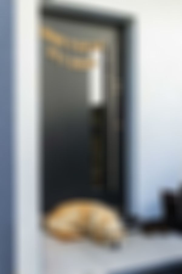 Ein Golden Retriever schläft auf einer Türschwelle unter einem Banner mit der Aufschrift „Lina & Andre für immer“, neben der Tür stehen Schuhe.