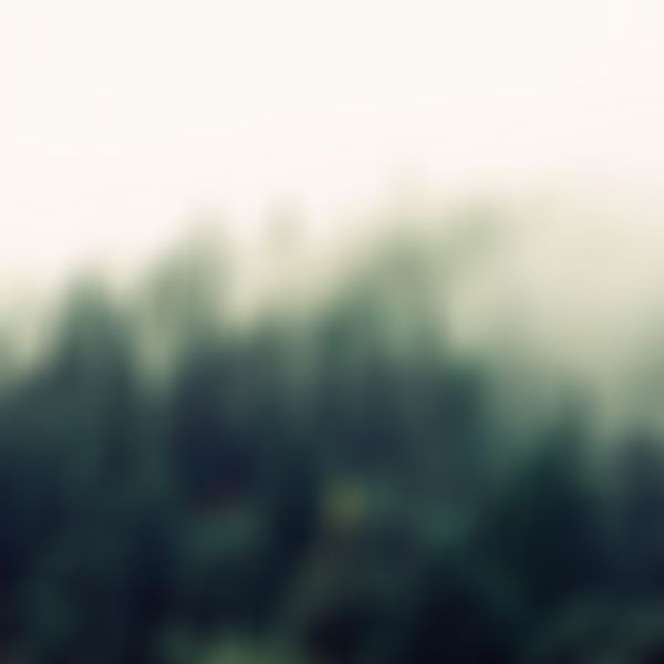 Wald