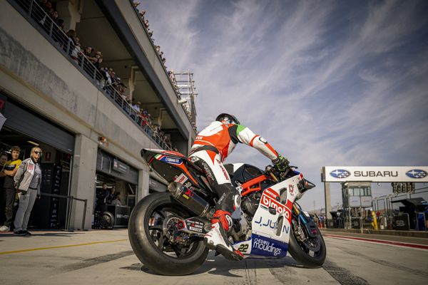 Strong Performances From Lowes And Bassani