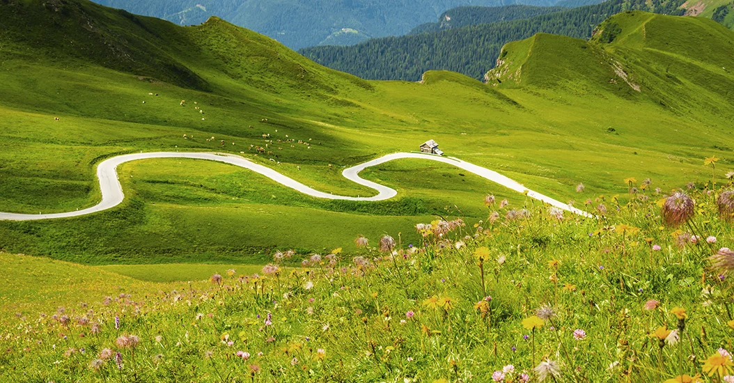 block.article_content_single_image_text