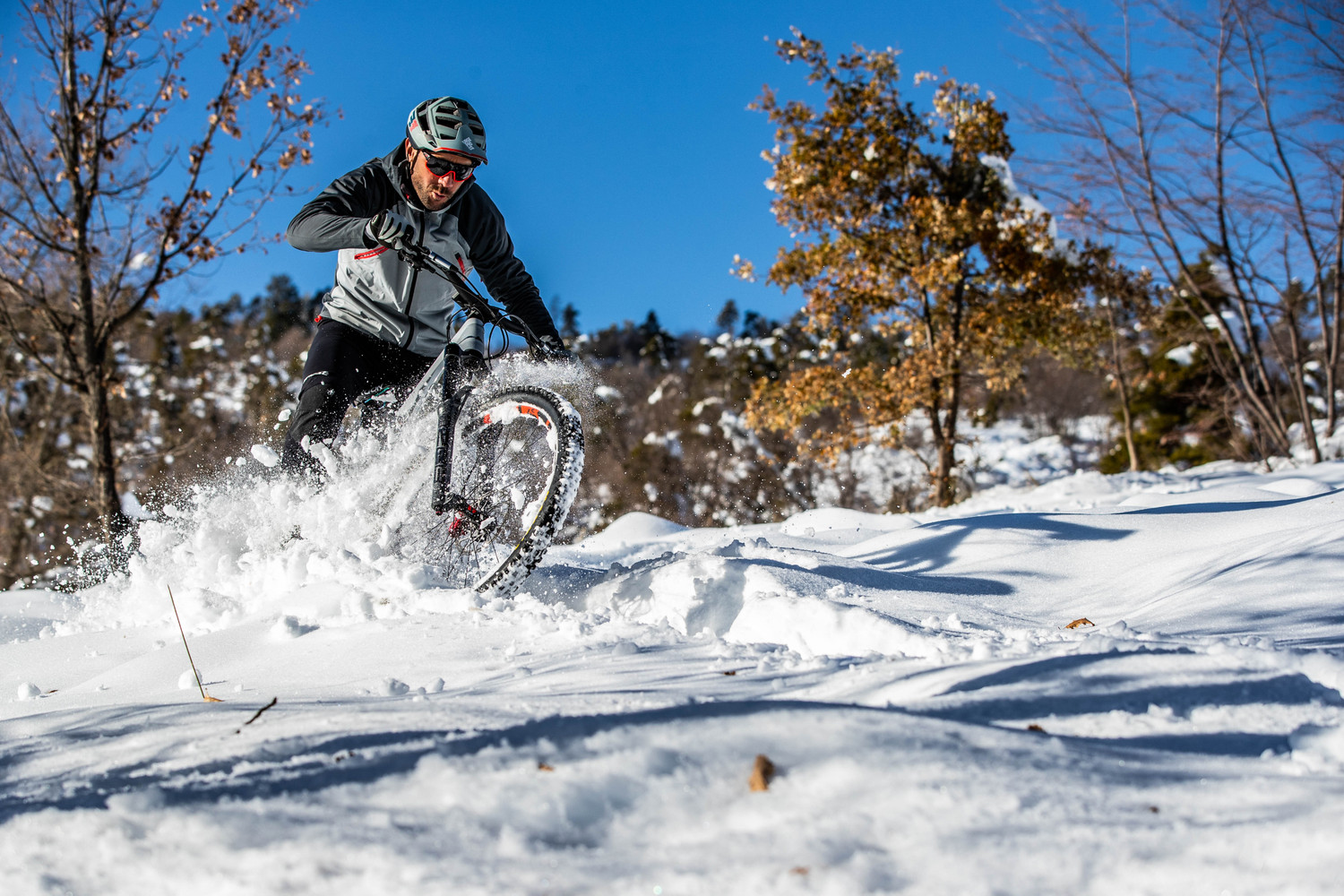 block.article_content_single_image_text