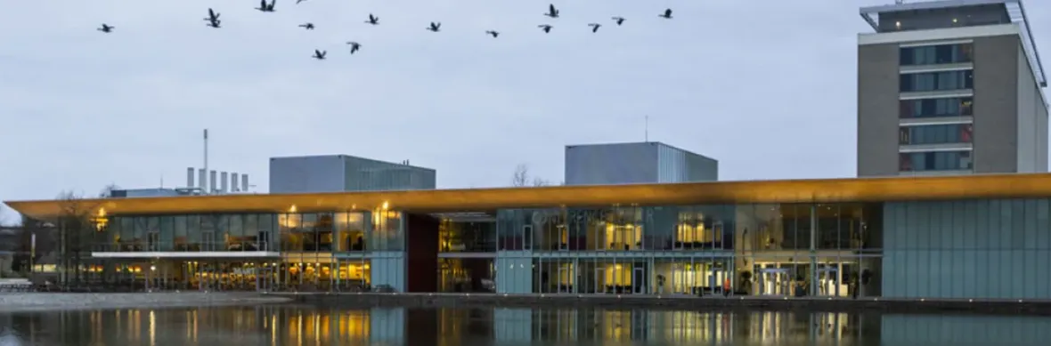 Modern building with large windows and lit interior near a water body; a flock of birds flying above under a cloudy sky.