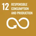 SDG Sustainable Development Goal 12 responsible consumption and production