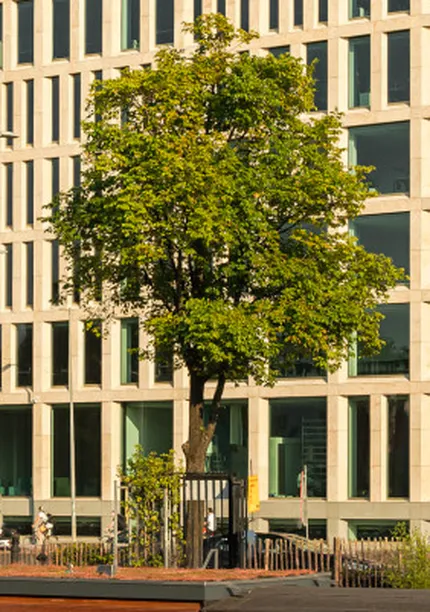 Klantcase Jakoba Mulderhuis gebouw
