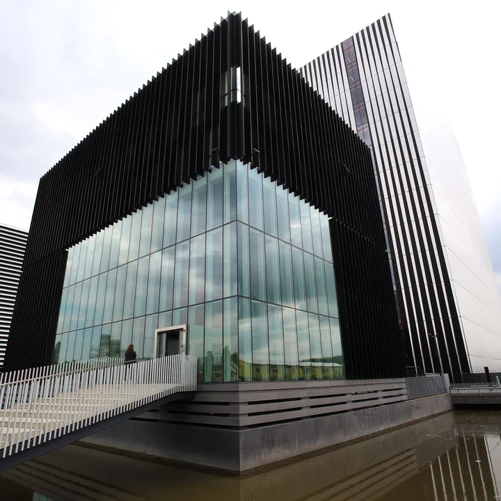 Modern building with black vertical slats and large glass windows, featuring a sloped white wall and a bridge over a reflective pond.