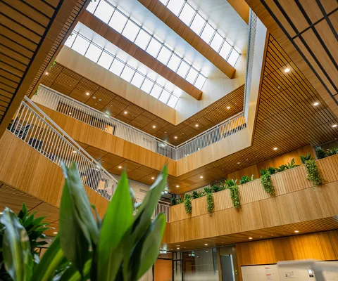 Avans campus 300 opgeleverd bamboe dak