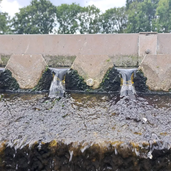 Hoogheemraadschap De Stichtse Rijnlanden