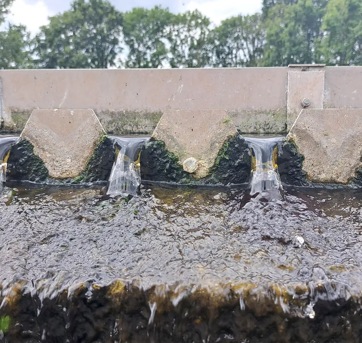 Hoogheemraadschap De Stichtse Rijnlanden