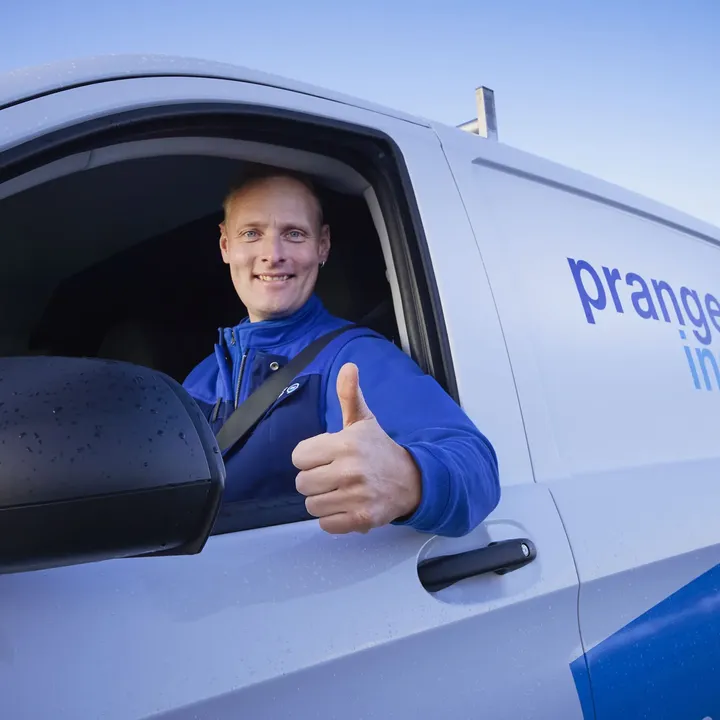 Beeld-Pranger-Rosier_2-scaledjpg