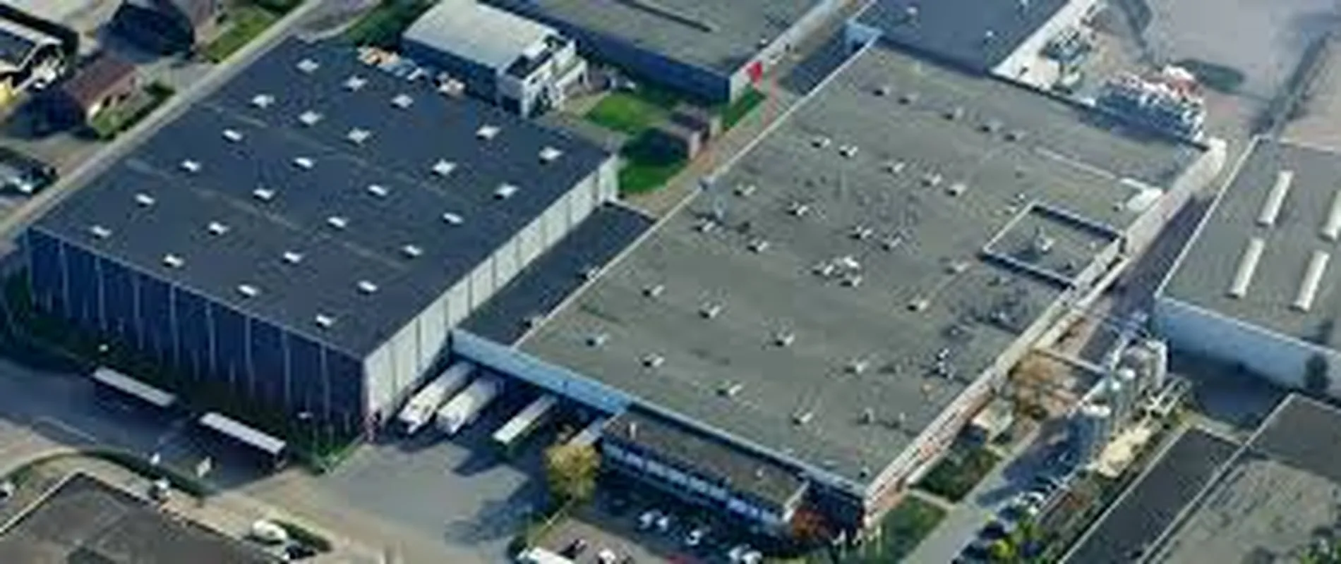 dalli group