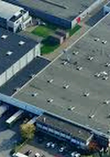 dalli group