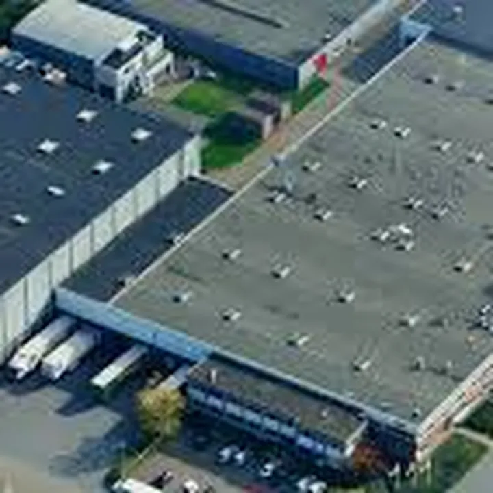 dalli group