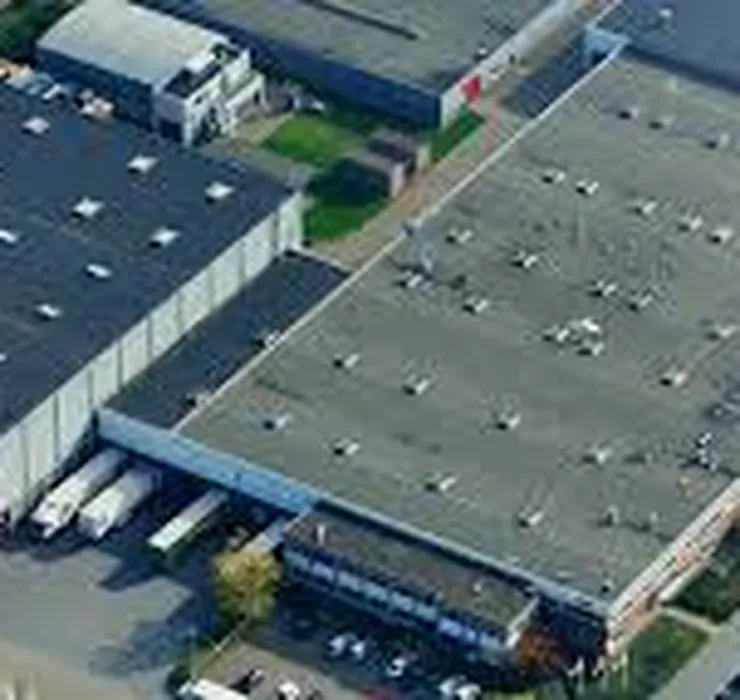dalli group