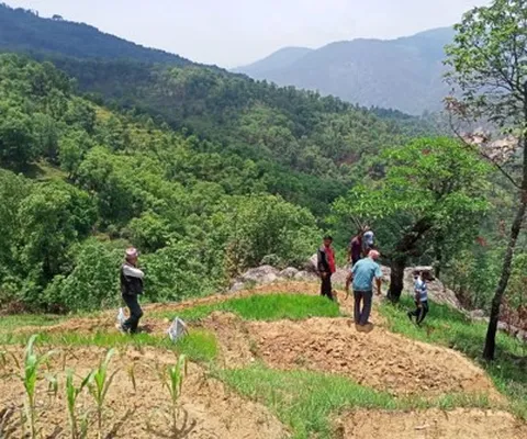 Thana, Parbat