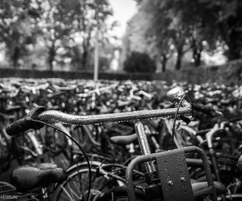 Mgr Frenckencollege_schoolplein