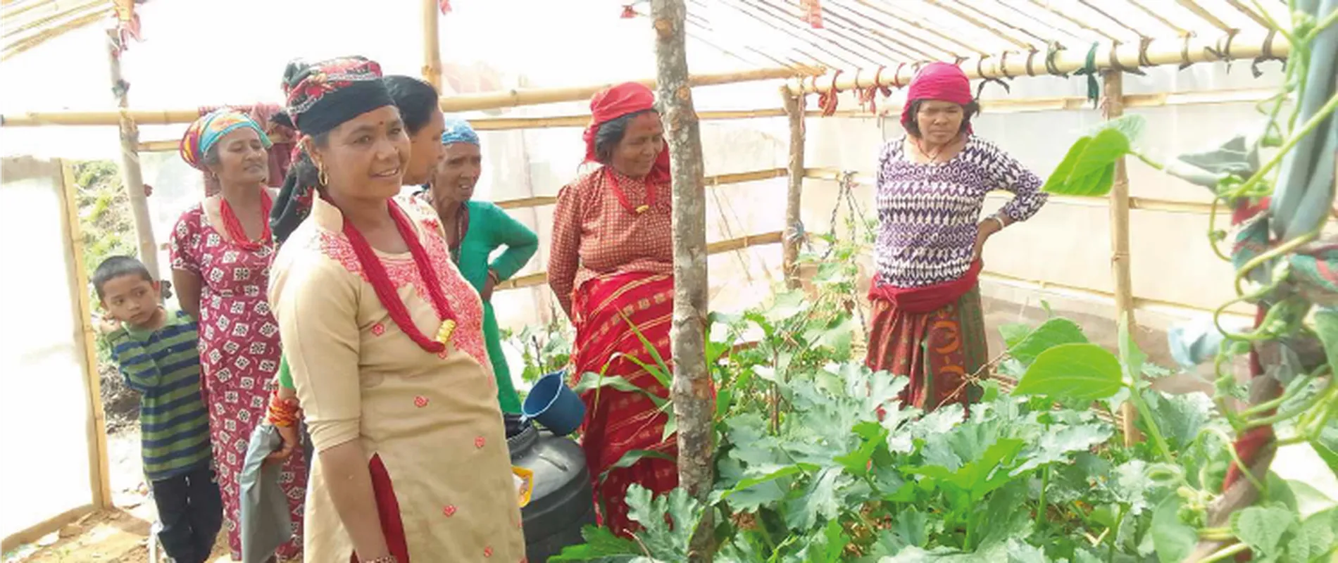 A group of women and a child in traditional attire stand in a greenhouse, surrounded by green plants and vegetables.