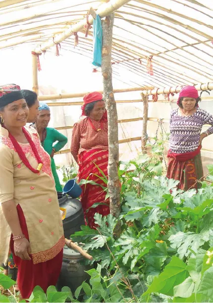A group of women and a child in traditional attire stand in a greenhouse, surrounded by green plants and vegetables.