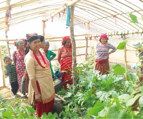 A group of women and a child in traditional attire stand in a greenhouse, surrounded by green plants and vegetables.
