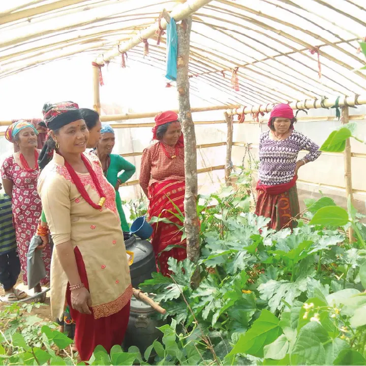 A group of women and a child in traditional attire stand in a greenhouse, surrounded by green plants and vegetables.