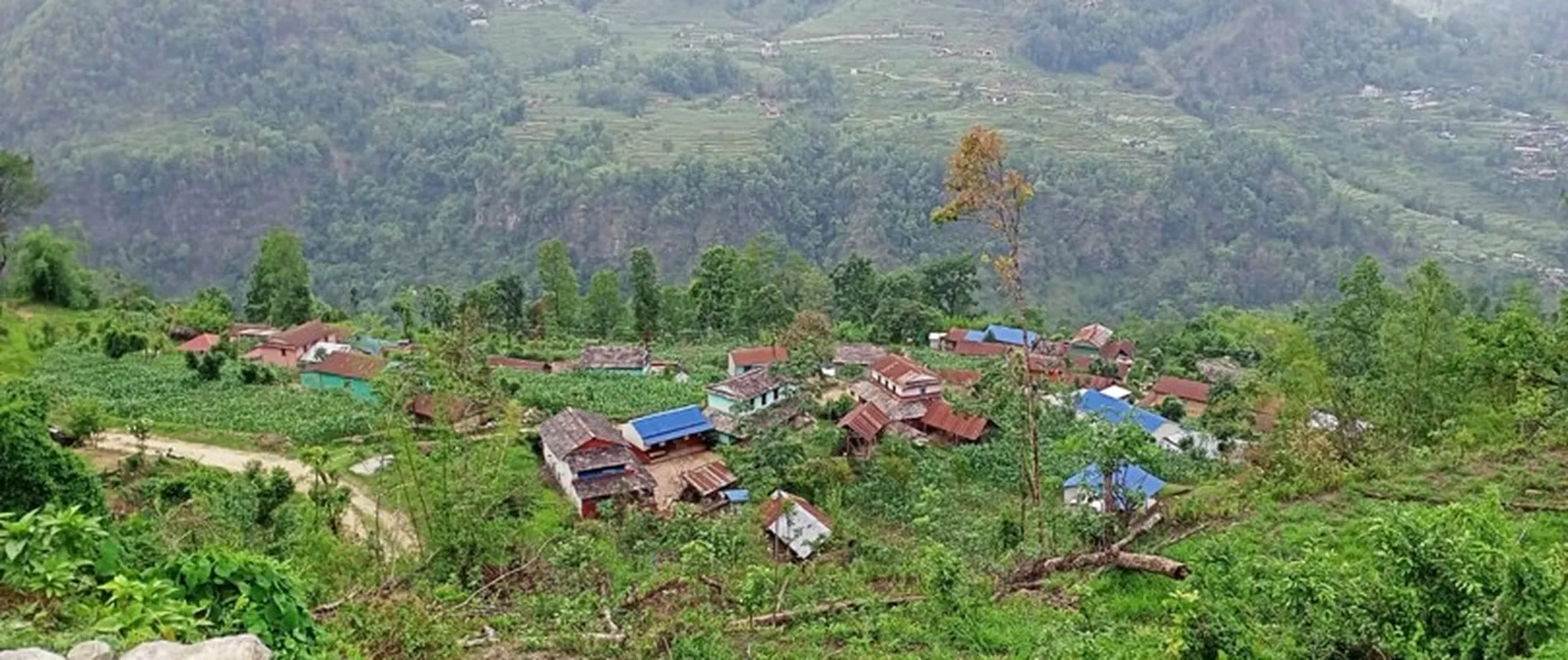 Thana WASH Nepal