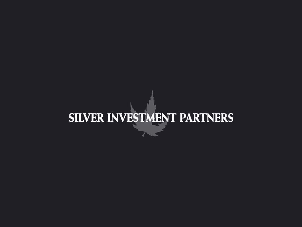 Investment Intelligence Platform für einen Small-Cap Private Equity Investor