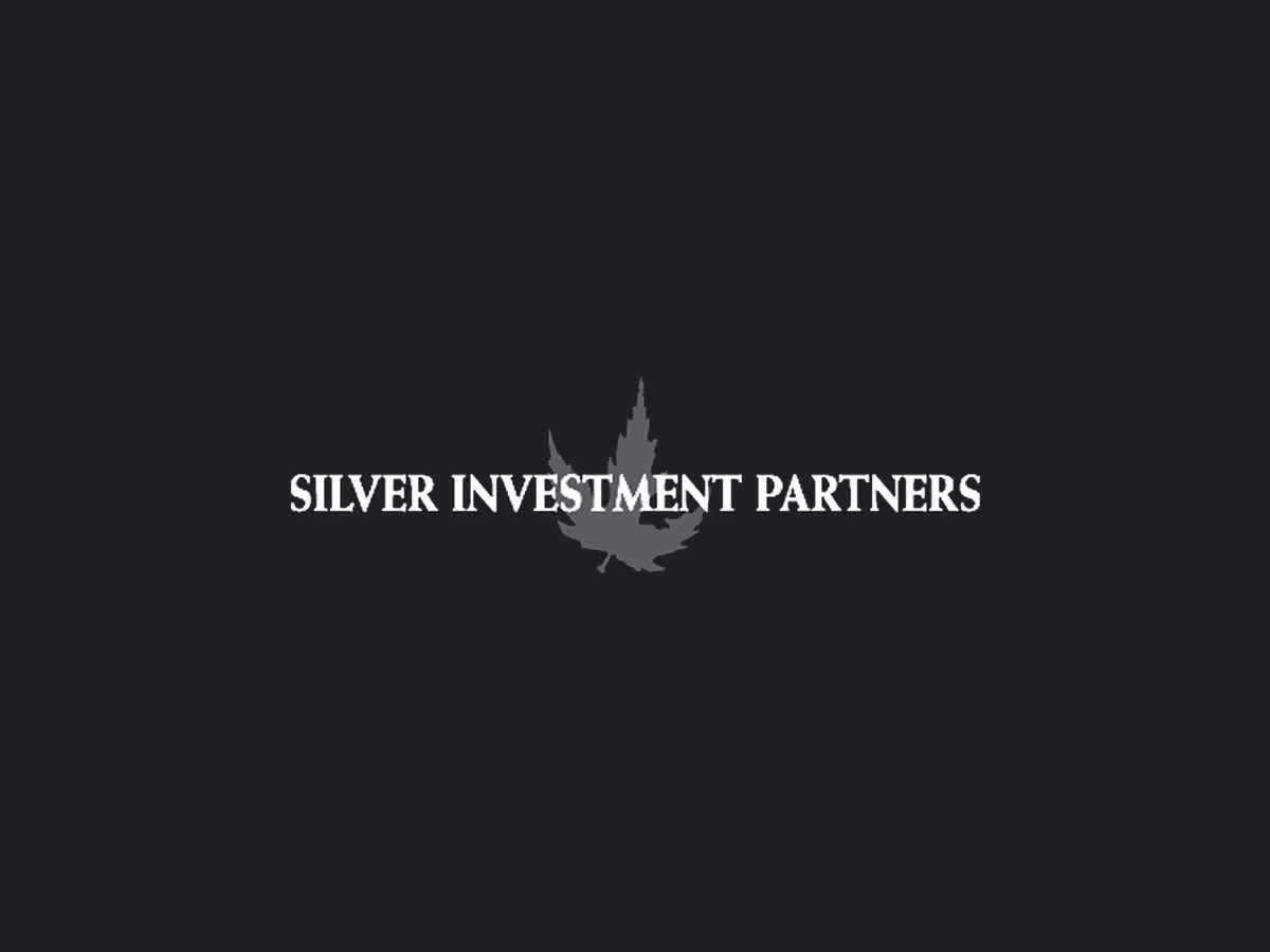 Investment Intelligence Platform für einen Small-Cap Private Equity Investor