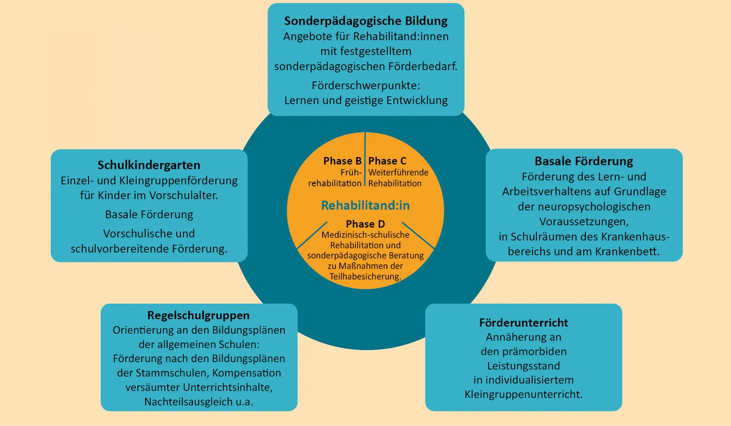Organigramm Wilhelm-Bläsig-Schule, Klinikschule des Hegau-Jugendwerks Gailingen.