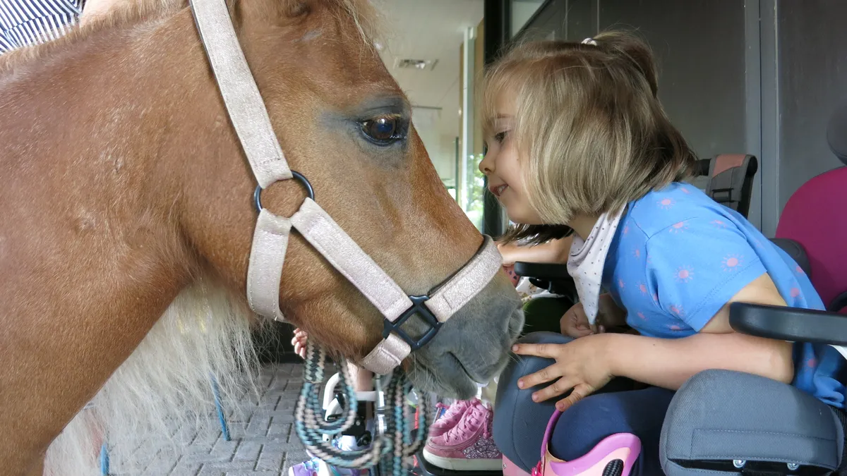 Kleine Patienten stärken durch tiergestützte Therapie - in diesem Fall mit freundlichen Ponys.