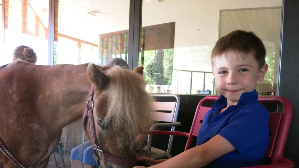 Die kleinen und jungen Patienten des Hegau-Jugendwerks haben auch in diesem Jahr den Besuch der Ponys genossen. Das Projekt im Rahmen der tiergestützten Therapie sorgt für viel Freude, entspannte Momente und Glücksgefühle.