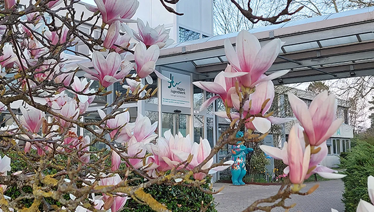 Haupteingang des Hegau-Jugendwerks in Gailingen mit Zugang zum Klinikgebäude.