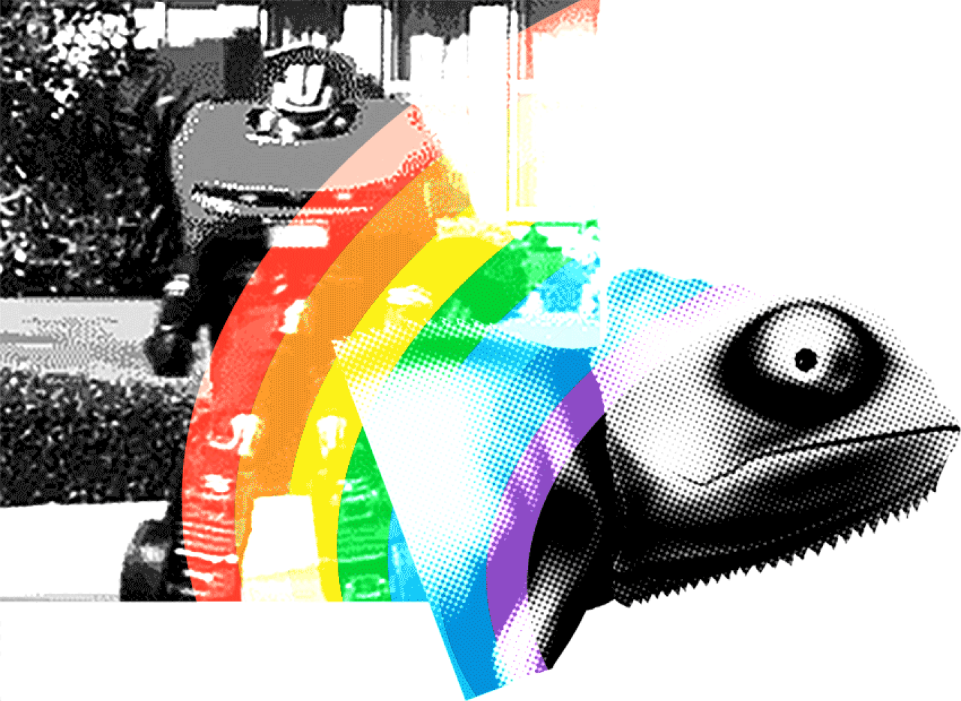Cameleon_Rainbow