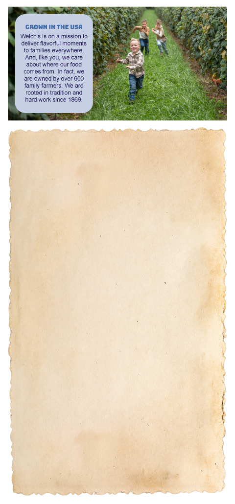 section image