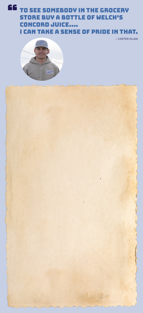 section image