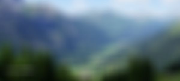 A scenic view of the Lechtal in the Ausserfern region with lush green valleys, dense forests, and towering mountains under a blue sky with scattered clouds.