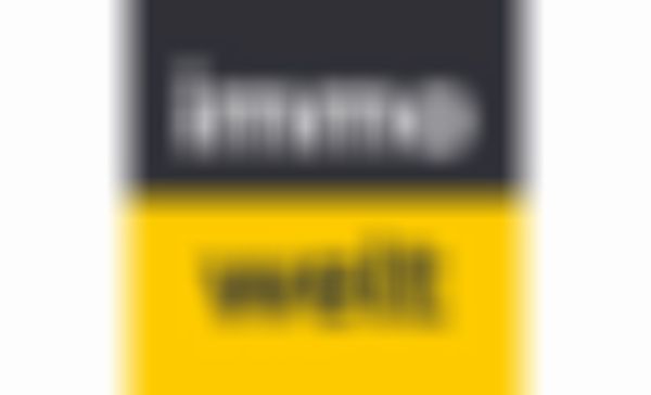 Logo immo welt