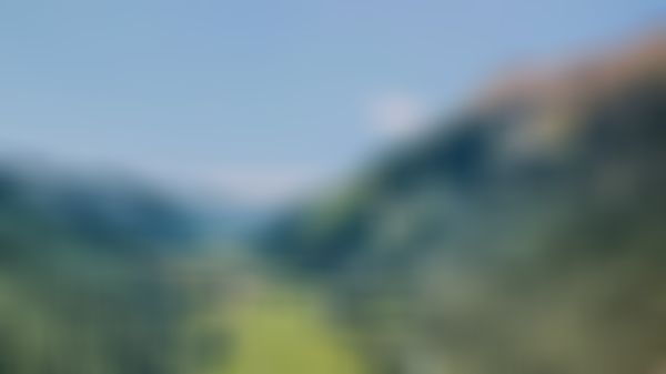 Luftaufnahme eines üppig grünen Tals mit einem gewundenen Fluss, umgeben von Bergen unter einem klaren blauen Himmel. Im Hintergrund ist ein kleines Dorf zu sehen.