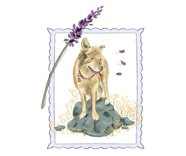 The Lebanon Displacement Diaries | Abbas