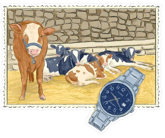 The Lebanon Displacement Diaries | Robert