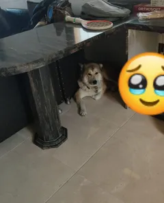 Photo alt text is missing.