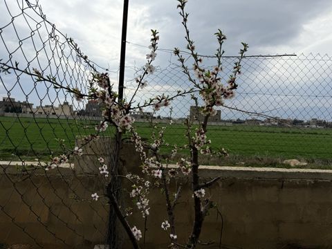 The view from outside the shelter in Bar Elias. 