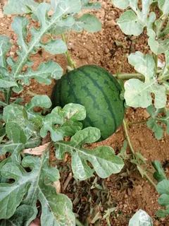 Photo alt text is missing.