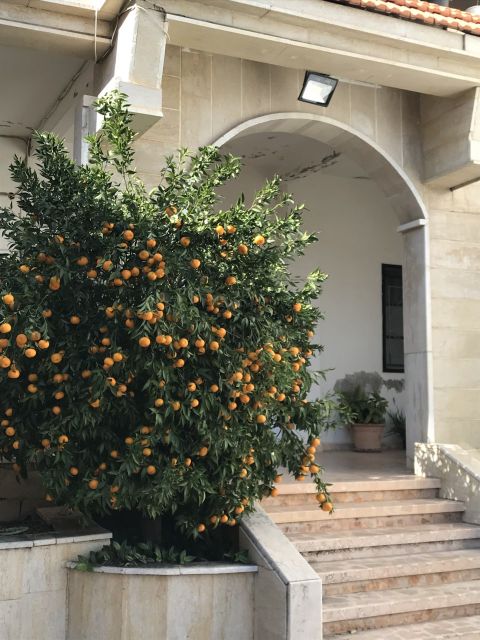  The orange tree at the entrance of Yasmina’s house in Khiam, before the war.