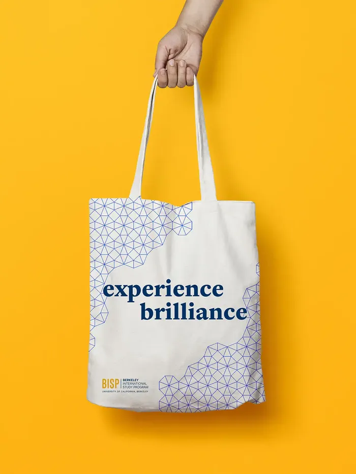 A hand holds a white tote bag with blue geometric patterns and the text "experience brilliance" against a vibrant yellow background.