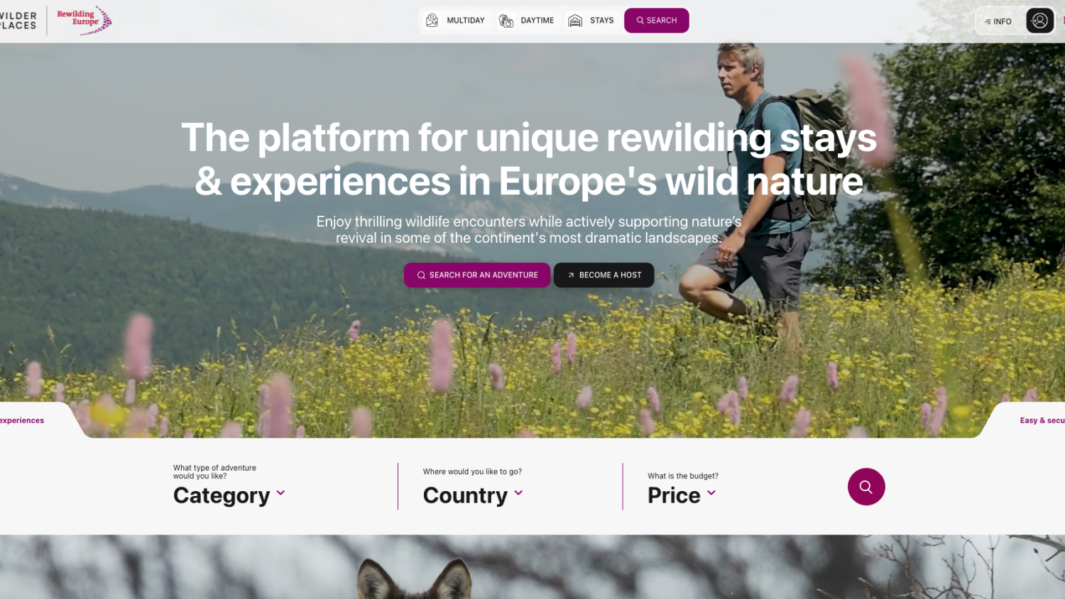 La reintroducción de vida vegetal y animal autóctona contribuye a recuperar ecosistemas en zonas degradadas. www.rewildingeurope.com