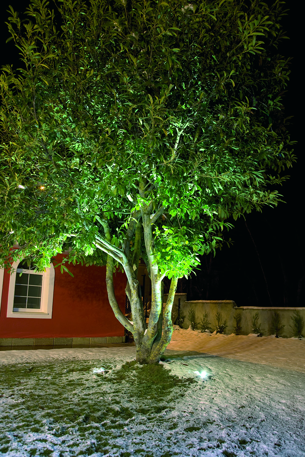 jardines