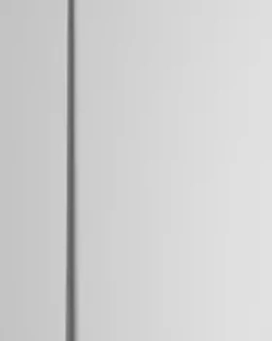 Full view of the Simon CU functional column